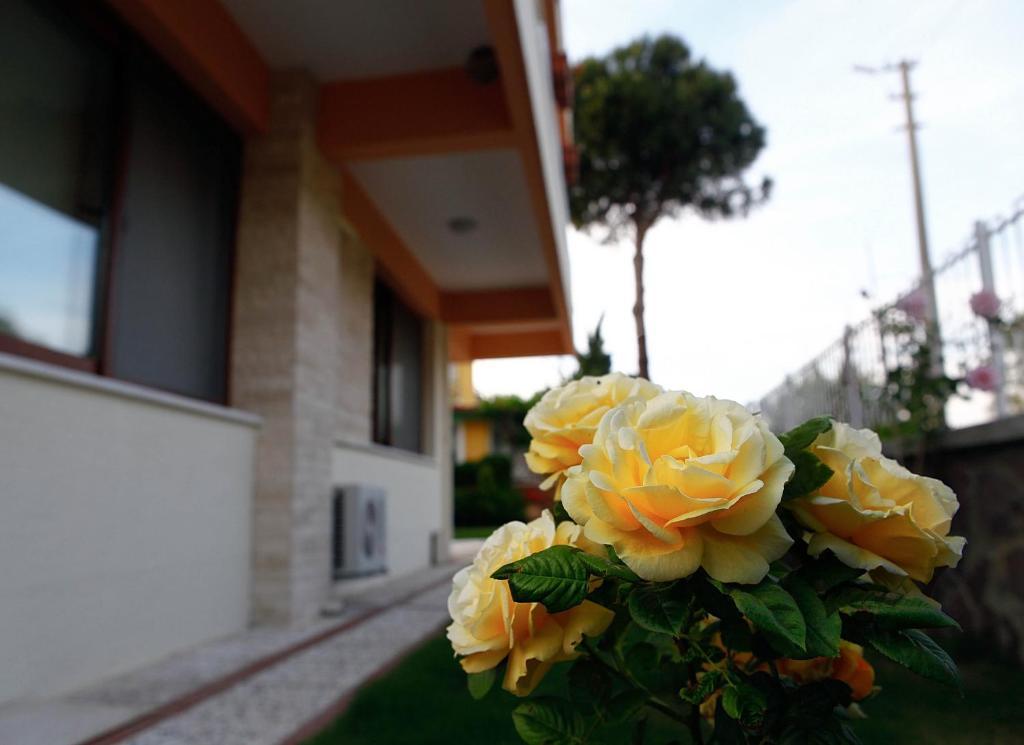 Villa Fokai Hotel Yenifoca Luaran gambar